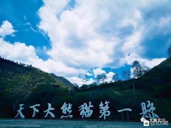 一人之下657话，左若童逼迫无根生用神明灵冲关，结果被炁化消失