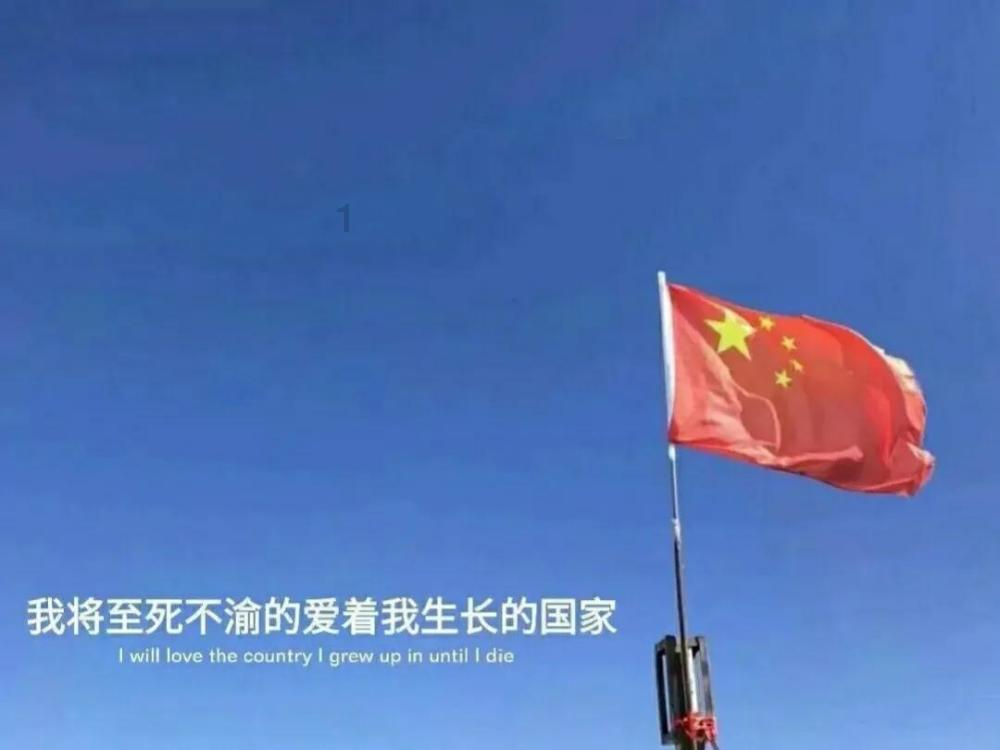 饥饿的松鼠救援